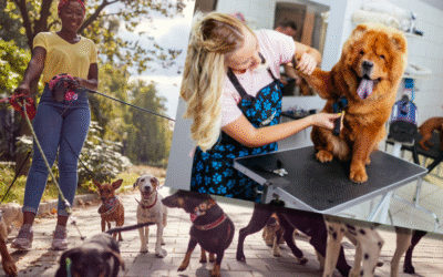 How to Manage Your Bookkeeping When Juggling Multiple Income Streams